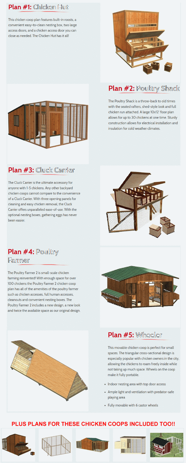 Diy Chicken Coops Discount Multiple Chicken Coop Building Plans